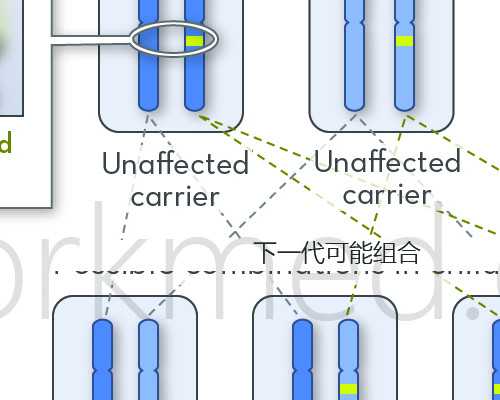 太原试管助孕费用明细解析 代生代怀助孕成本全指南