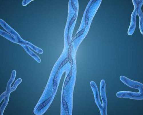 试管婴儿医院选择指南与助孕咨询