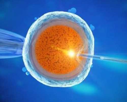 2026年供卵试管代孕流程与医院选择指南