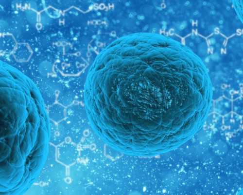 2026残角子宫患者试管医院排名与供卵助孕费用解析