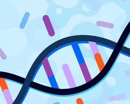 试管怀孕风险全面解析与应对策略