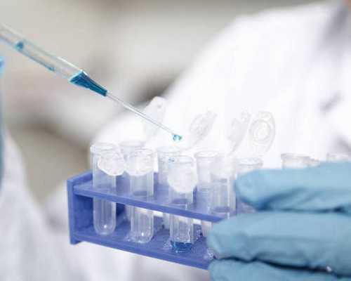 借卵试管婴儿医院排名与费用指南：助孕咨询全解析