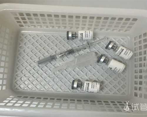 三代试管婴儿生男孩费用解析与成功率探讨