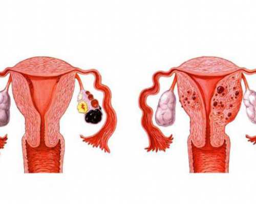 试管怀孕中心哪里能找到，专业服务助您圆梦