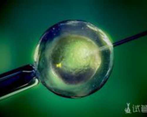 2026年试管婴儿生双胞胎费用详解及助孕指南