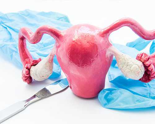 2026年试管婴儿生双胞胎费用与供卵试管年龄指南