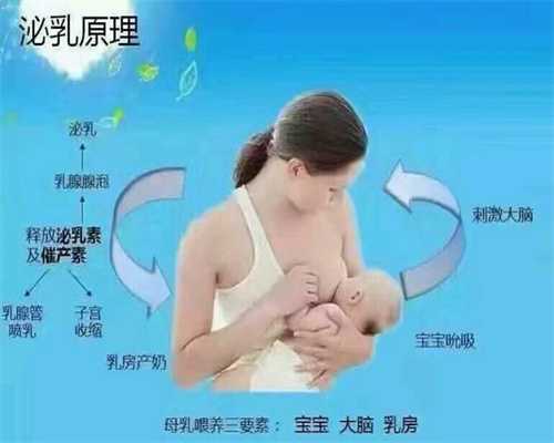 邯郸代孕流程N：孕妇安胎食谱